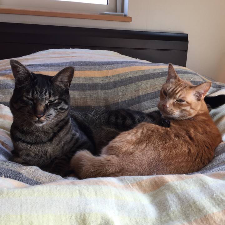 Cbf1aeee 2fdb 497c 9dc6 12aaa9362d33