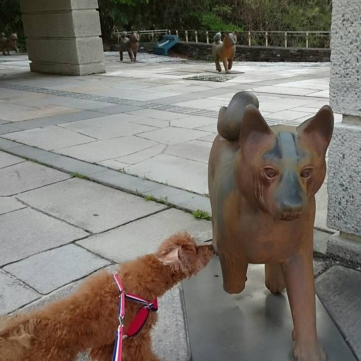 Cbf1d933 55bd 4d19 bb54 8034577315d1