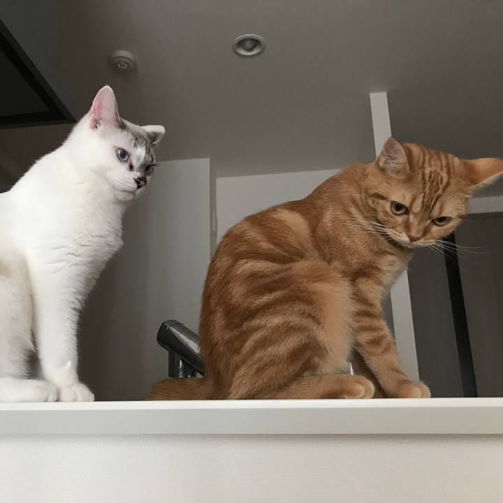 Cbf1e5c6 87bc 4718 99b9 cffe88800684