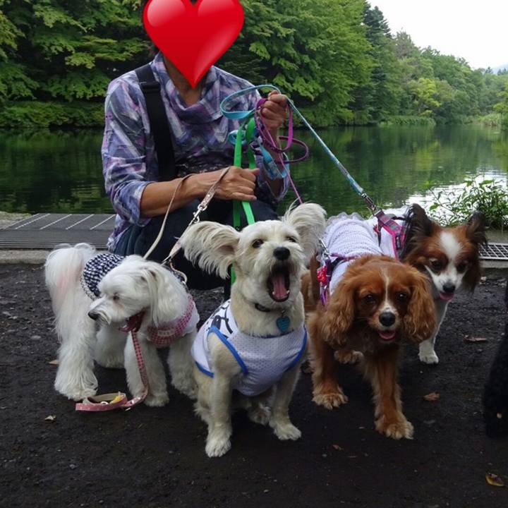 Cbf261c3 5133 468a 839d 4a6803818b97