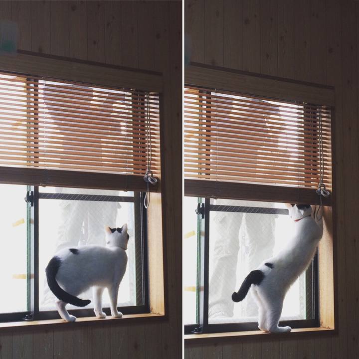 Cbf27d47 3d3b 4228 be3a cfdb2664f5c1