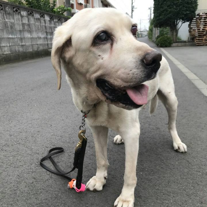 Cbf28d29 ae40 4660 9d18 939dead953e4