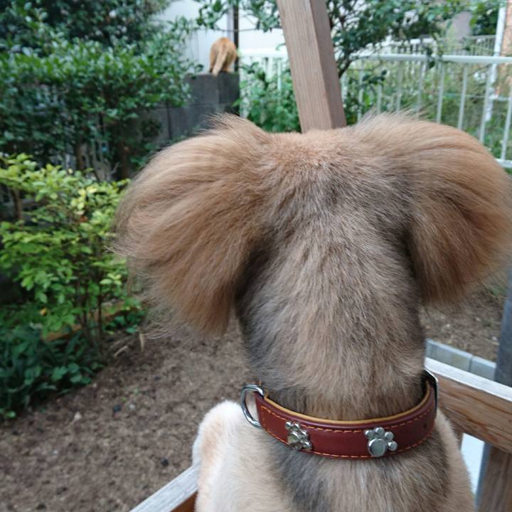 Cbf309d3 da51 4f51 9c7f d767131e2414