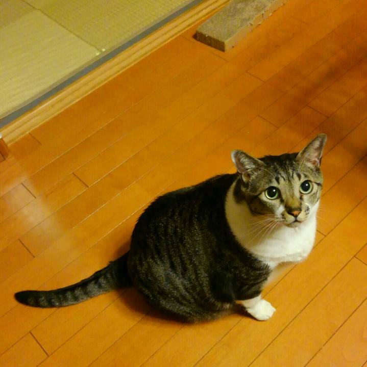 Cbf3c16a d0bd 421e b795 f15018c094e3