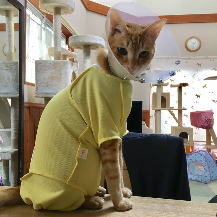 Cbf49bb2 cf9b 4141 9509 592e3ea7c57d