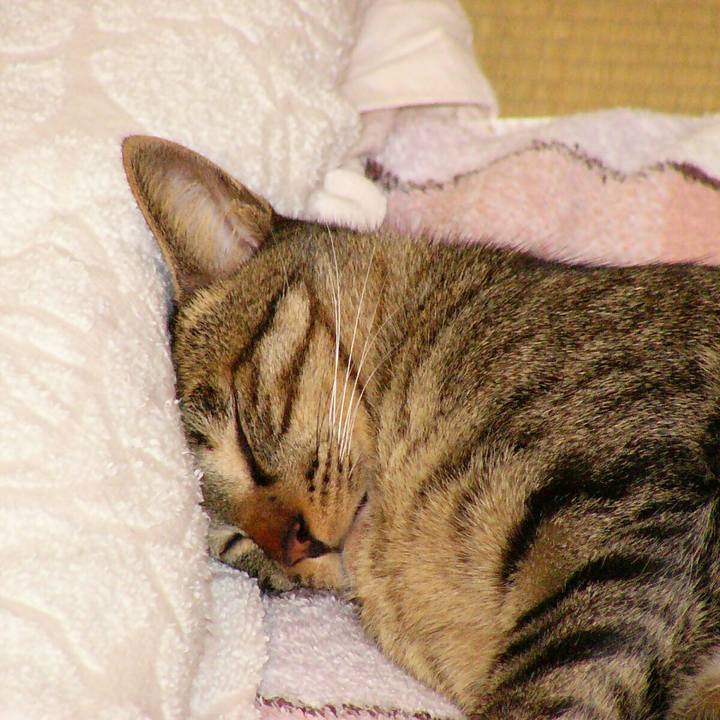 Cbf49d70 ab3e 4f32 bd28 19280b3f7e77