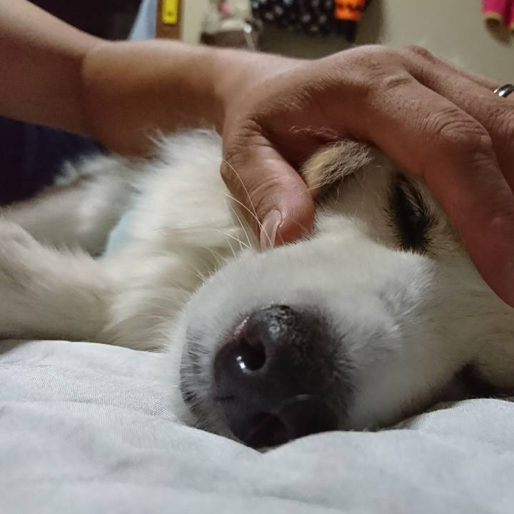 Cbf4a629 a5a2 4018 8f37 968ee37ea292