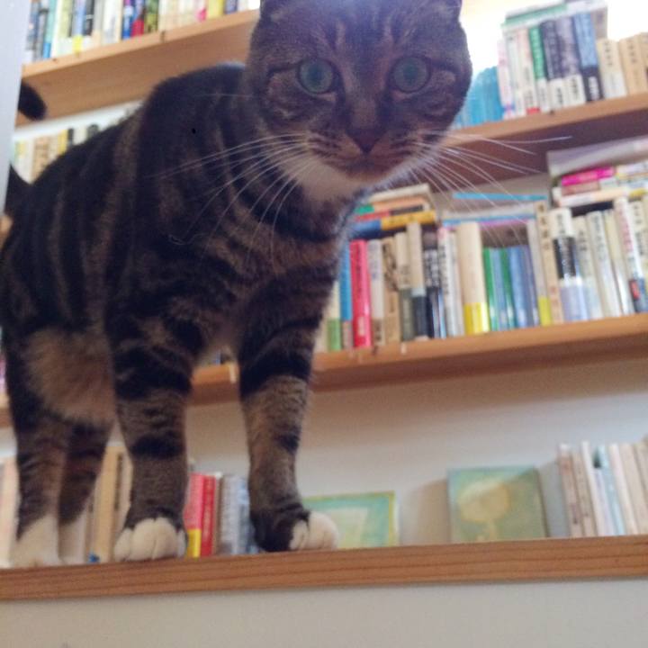 Cbf500b8 b727 4e6a b9bc 46411d4fa124