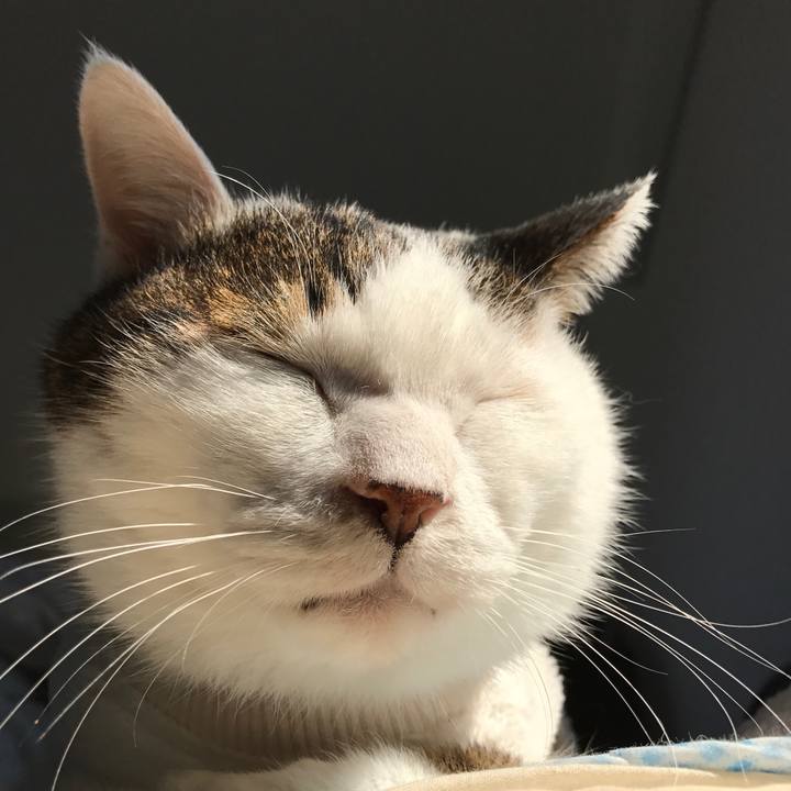 Cbf5aab7 2116 4c95 ad93 ac0a9f5e9091