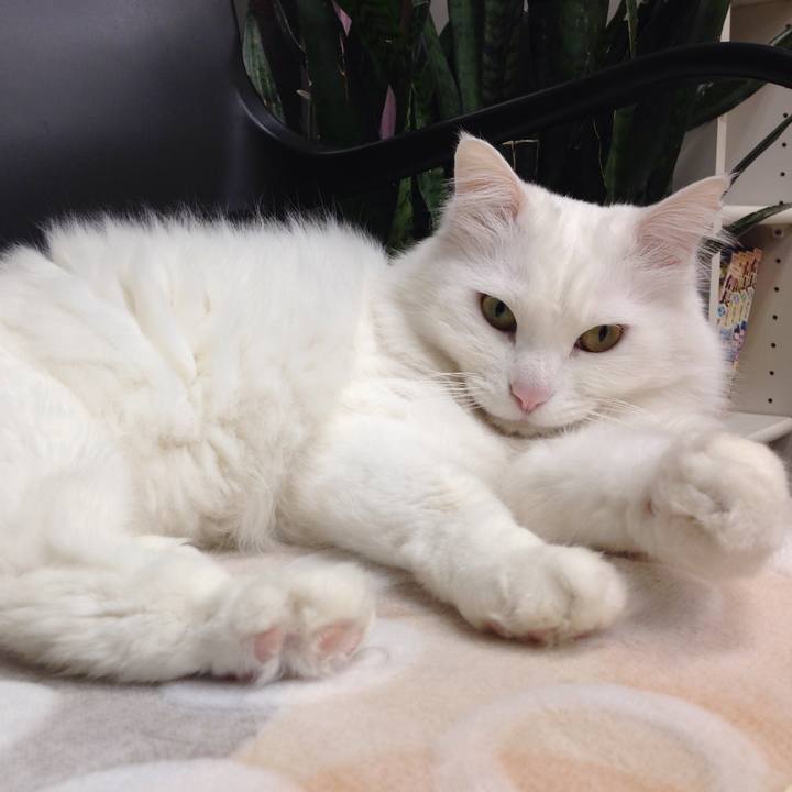 Cbf5fa67 6ec9 4e9e 91ec 7934bd53c878