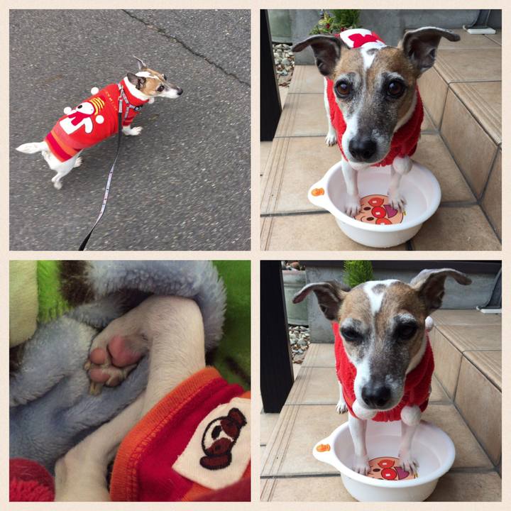 Cbf6114f 2d01 4e98 baf8 8db7d24cd78e