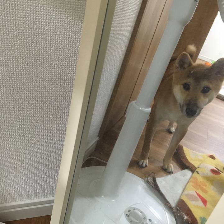 Cbf62292 4cd9 42fb 9a1f 84b3983407c5