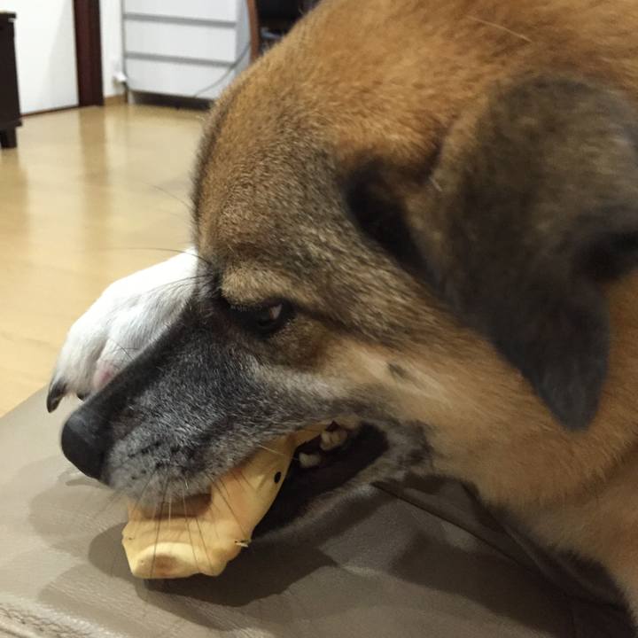 Cbf64100 06b7 442e b207 2a6369c18673