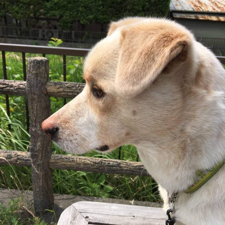 Cbf693d2 1fd5 4db1 aef4 7f71ed51f54e