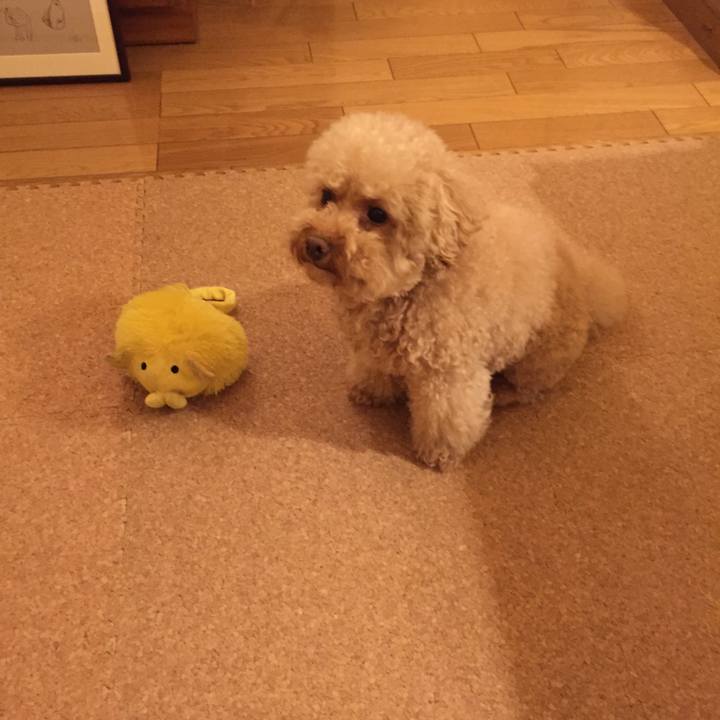 Cbf75993 d11a 4d3e a08f be051e98dd93