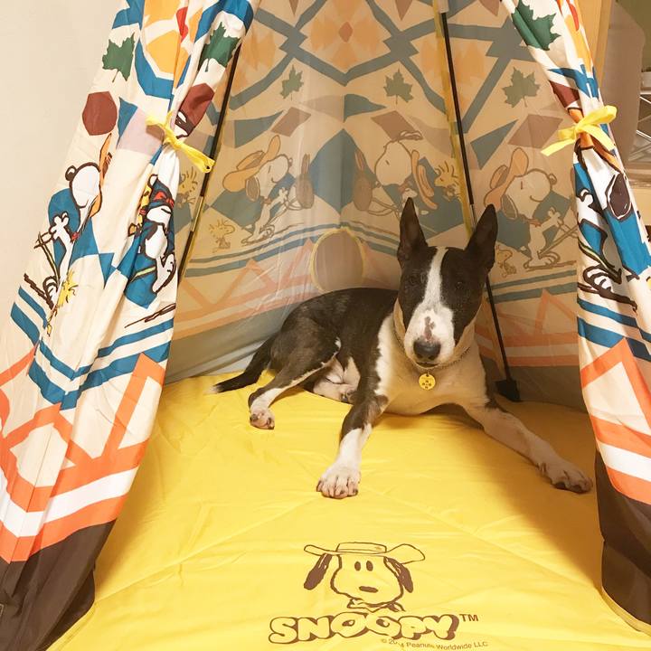 Cbf7eb0e 1de2 4171 a4ea 858d60a66eb5