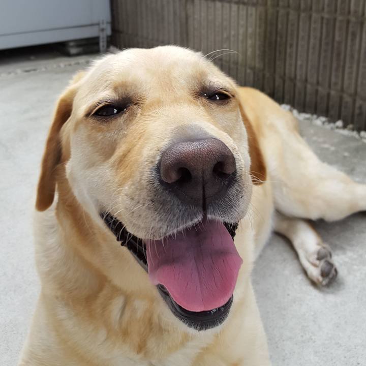 Cbf7fbe0 c72a 47ed a1cc 7bf024212e9b