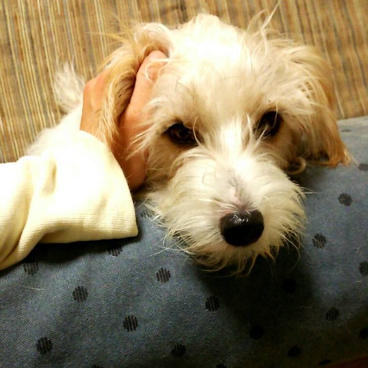 Cbf805b5 28d3 4706 9346 9601886aed37