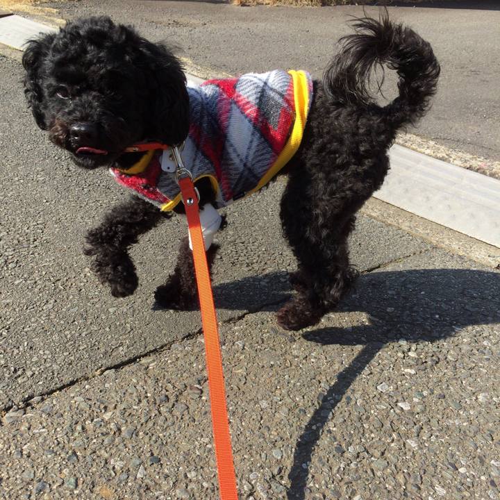 Cbf83f74 d3a0 4e43 81cc cc4bf1782ddc