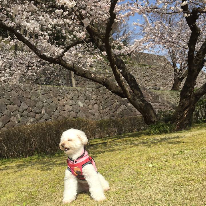 Cbf88975 7f09 4f0b 9d84 08c4cb71f767