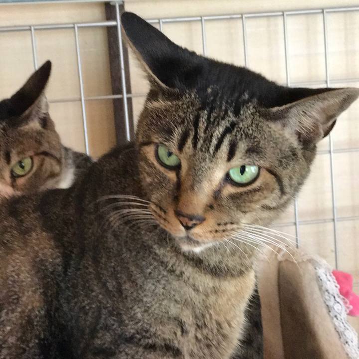 Cbf8a4e1 83f4 4839 880d 91133cd1ee13