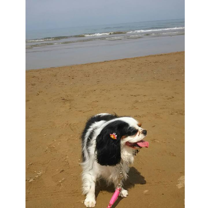 Cbf8c7e9 ad30 4bc5 8c2c 48ab60e2aea1