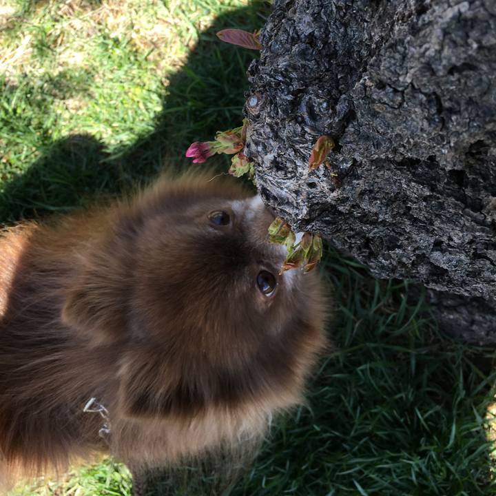 Cbf8d052 2b79 4dea bfff 9287ccb06a6b