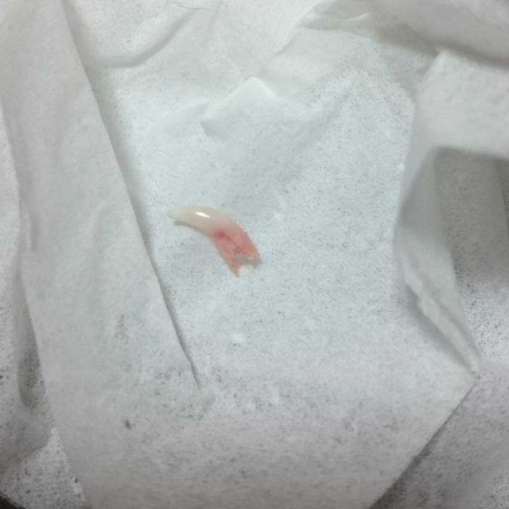 Cbf90671 c1a9 43d9 a147 0fb304649b4a