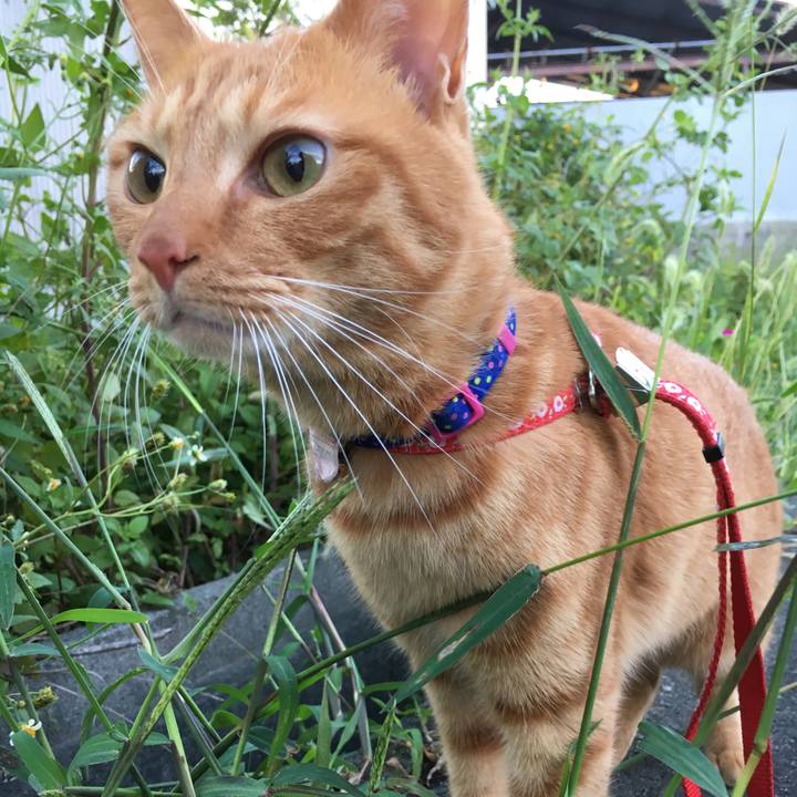 Cbf92c23 9903 4e7a a600 2619ee16b159