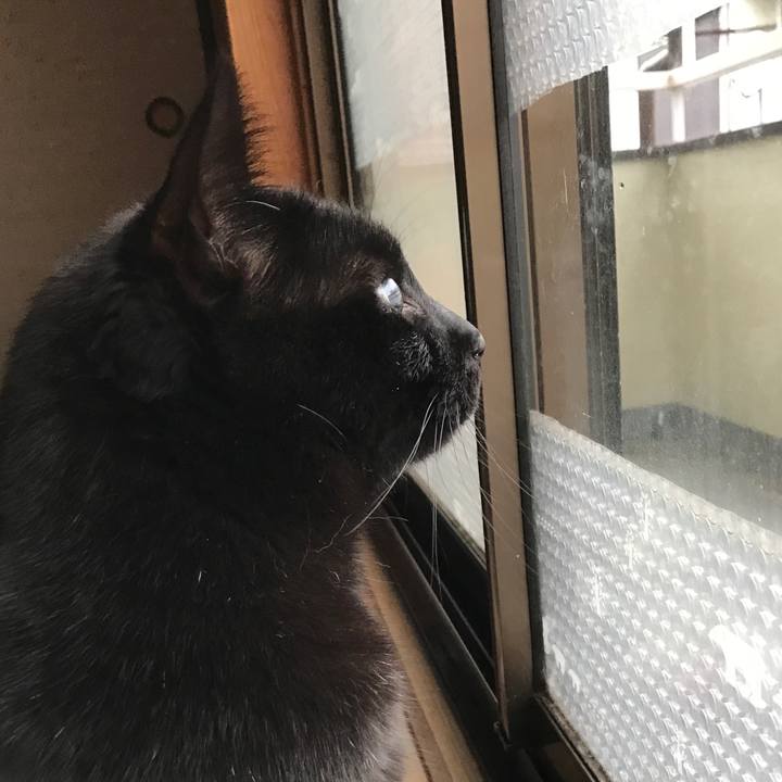 Cbf950df e268 452d 8c22 c90f72928588