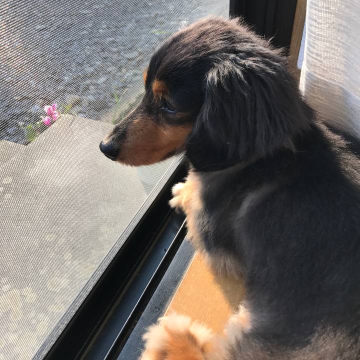 Cbf9a758 b90c 4aeb b27f 3af5e3c4c347