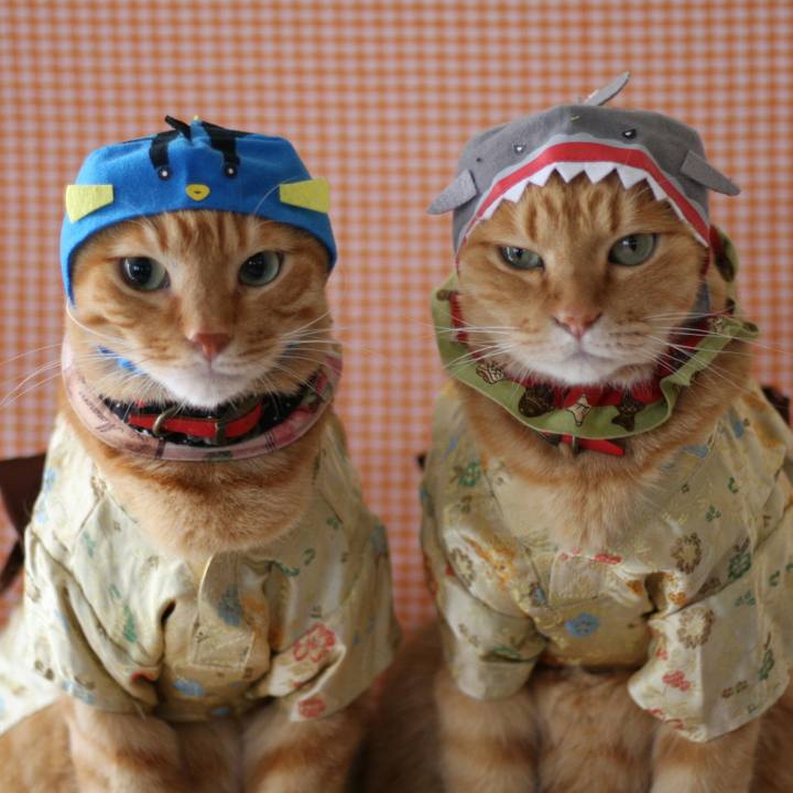 Cbf9ecb1 2df7 4771 a90f a0ab4a0262a3