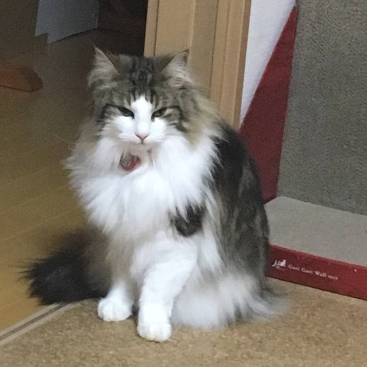 Cbfb8523 3224 40be ab8e 68794ce51cc2