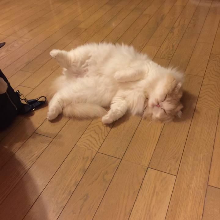 Cbfba5e5 6426 473f af56 2555aa7c2485