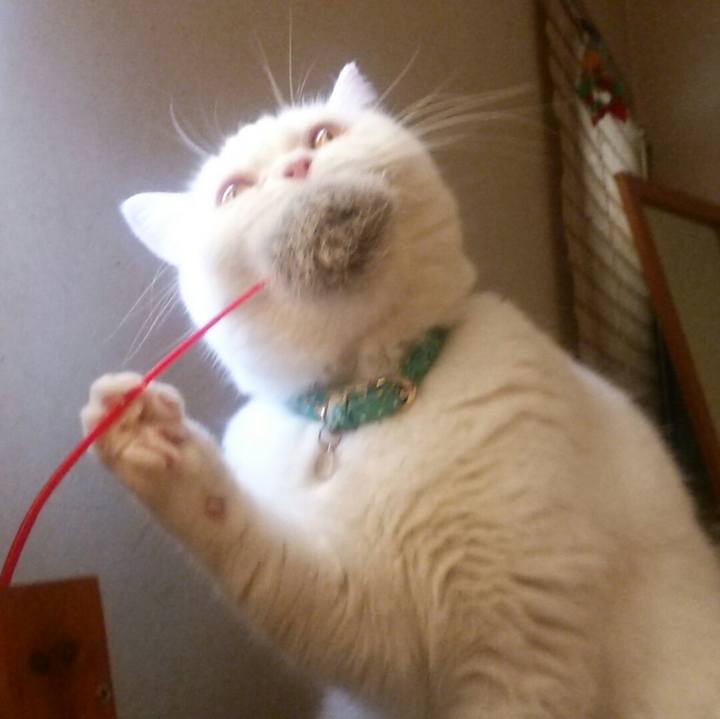 Cbfbd7ee 2bf5 401d 8589 f8844bc61f05