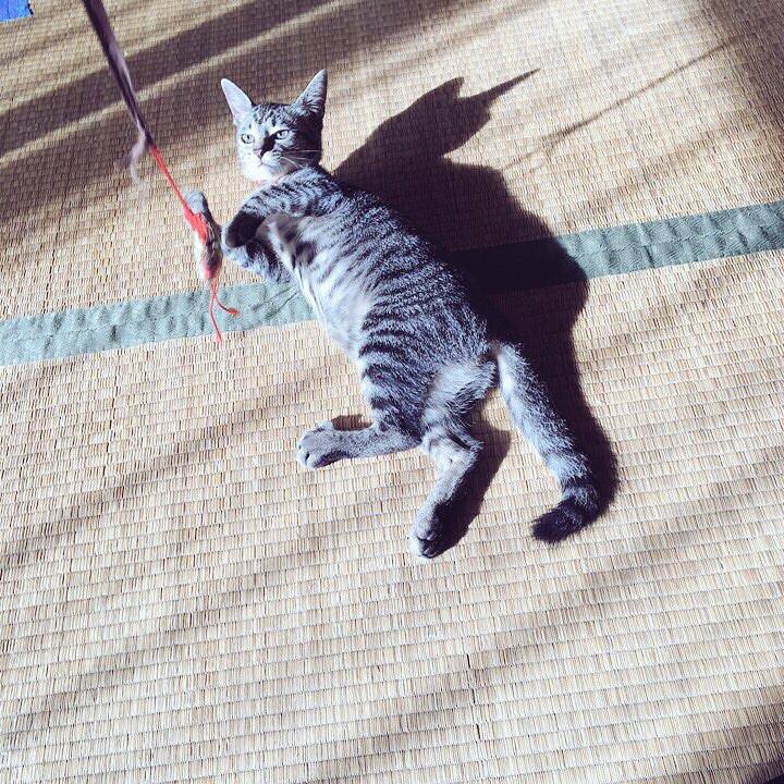 Cbfbdca6 72d2 4a75 8889 dc584f232a0c