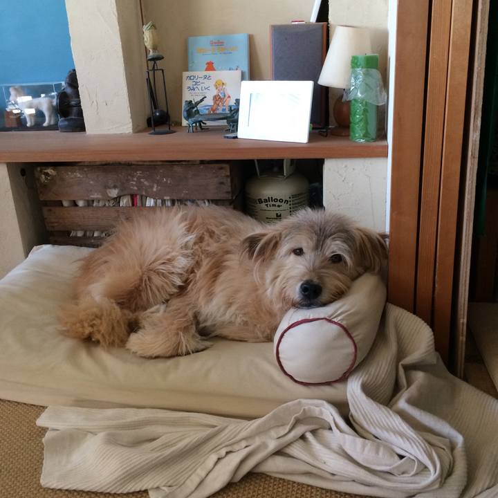 Cbfc1184 b0e5 4654 aae2 b6dd3cbb2178