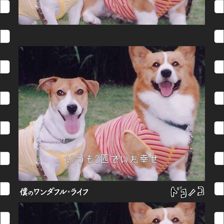 Cbfc4608 f692 4dea b8ff 11c838031189