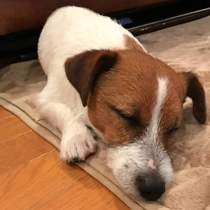 Cbfc6314 820f 4a02 a1f9 afaad876bc28