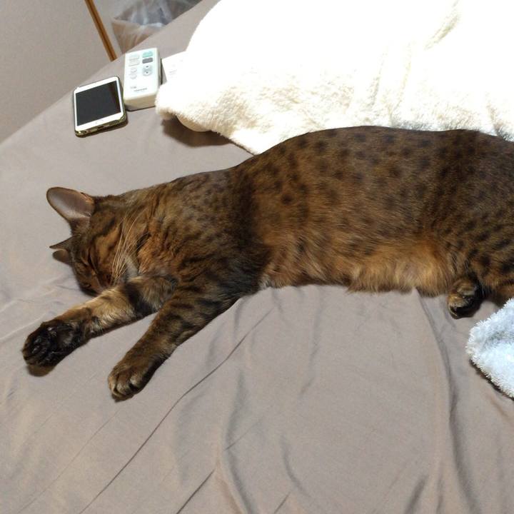 Cbfc63f5 398c 4b62 a0f8 b81d15a28216