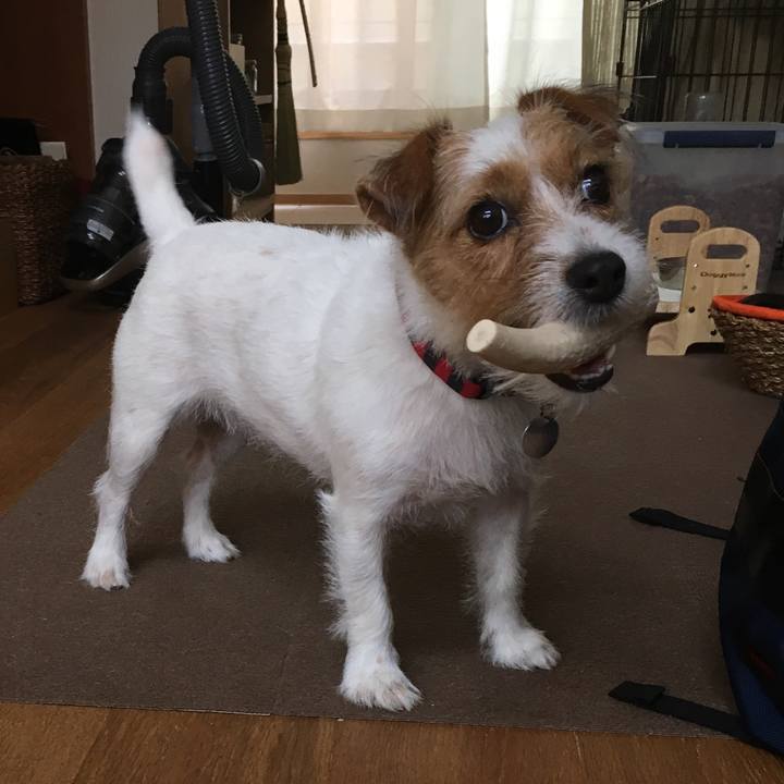 Cbfc91e1 9e22 4b8f 9093 2f08fb16d996