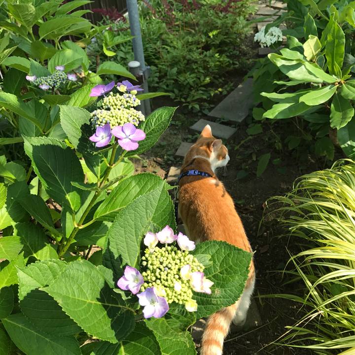 Cbfcd81a 4af5 4204 97df e7805320c064