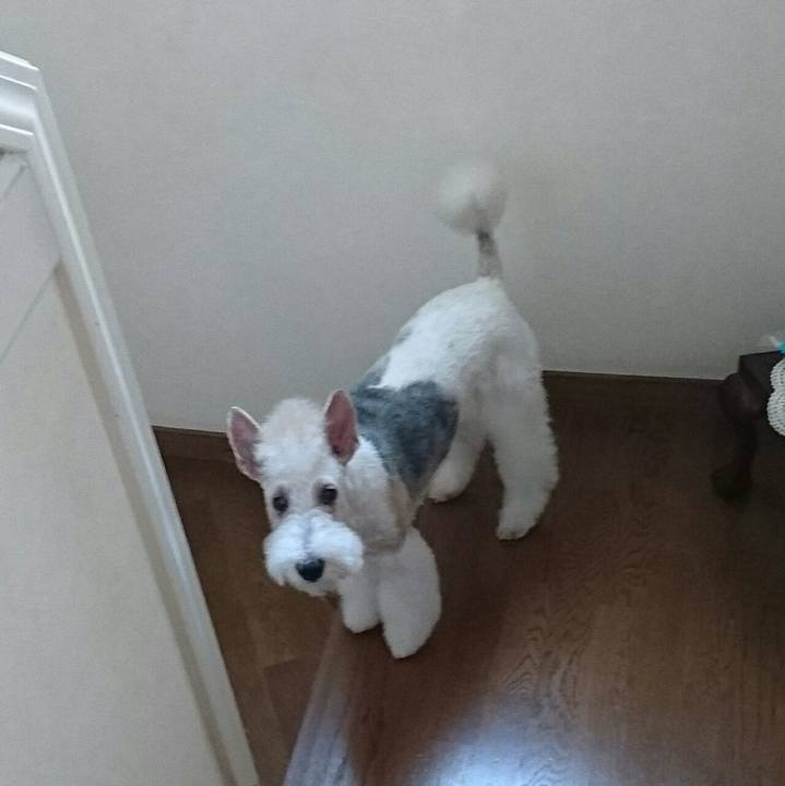 Cbfd6527 6cb6 4ed7 bd1e 1e89d7d66efb