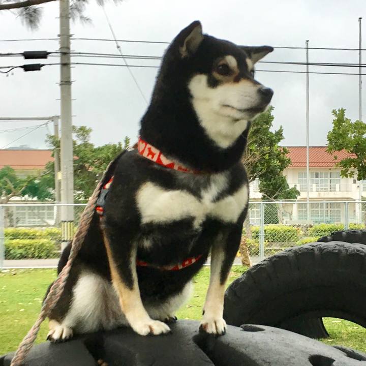 Cbfda193 7c1a 4aff 87df aa50c9d83440