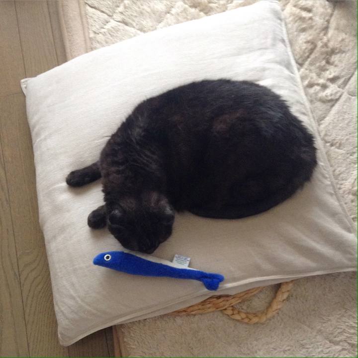 Cbfdad2d efc0 494f 83b3 6cbd5cc93c6a