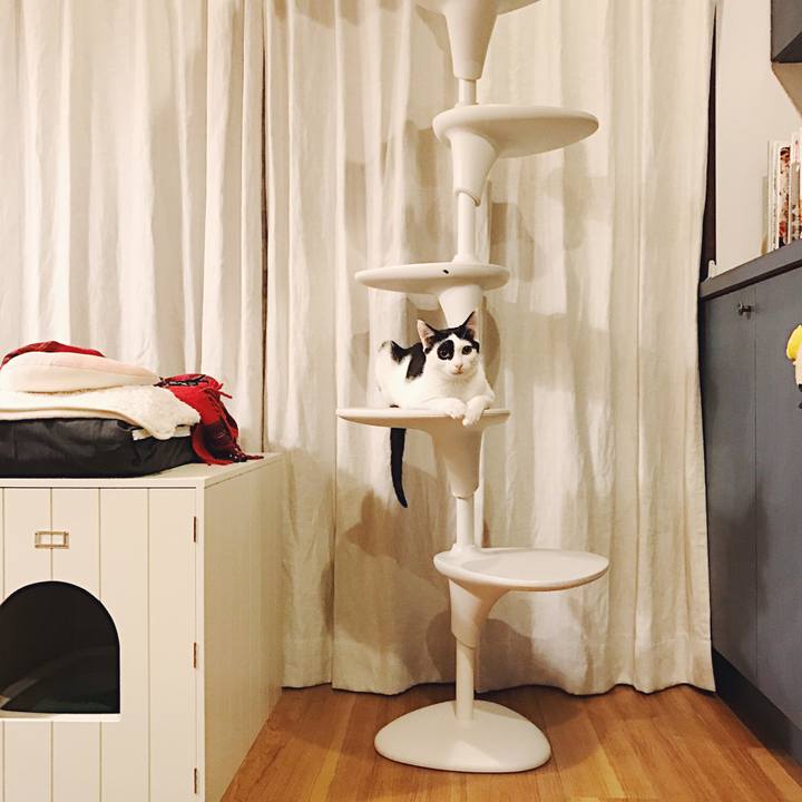 Cbfdbbd2 0288 4fb5 bbb4 1bb4e222ef0c