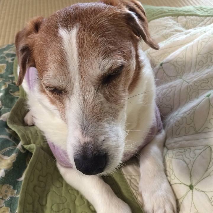 Cbfddf17 1a53 4ac2 8b7d 62da7e917b30