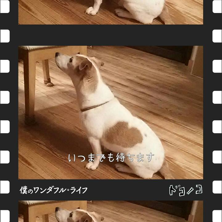 Cbfde7a0 4ac5 4040 96b0 1510b491ce82