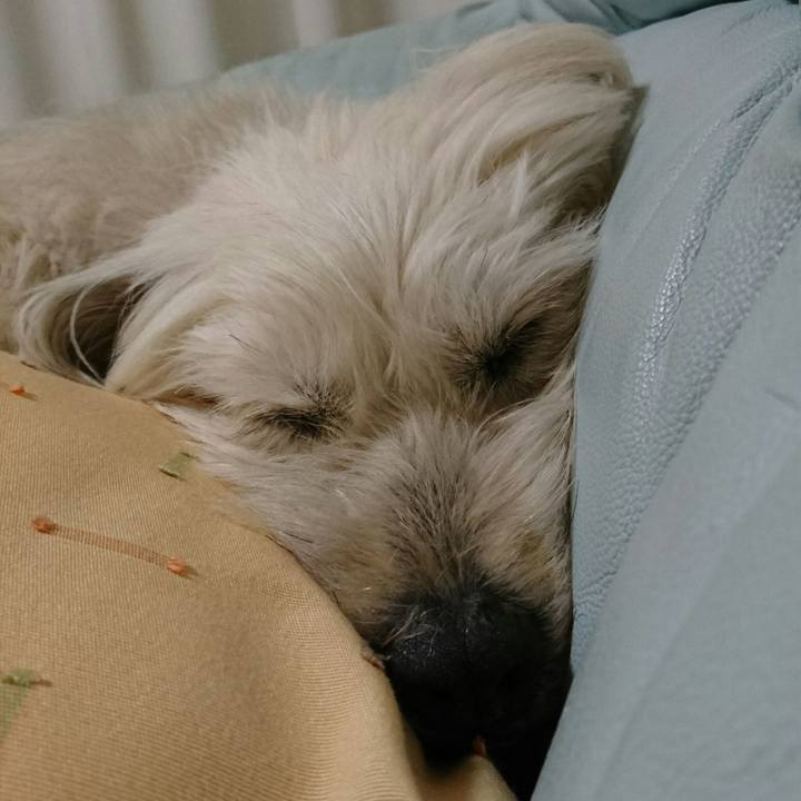 Cbfe0128 0507 431f b524 fc725b84bc4b