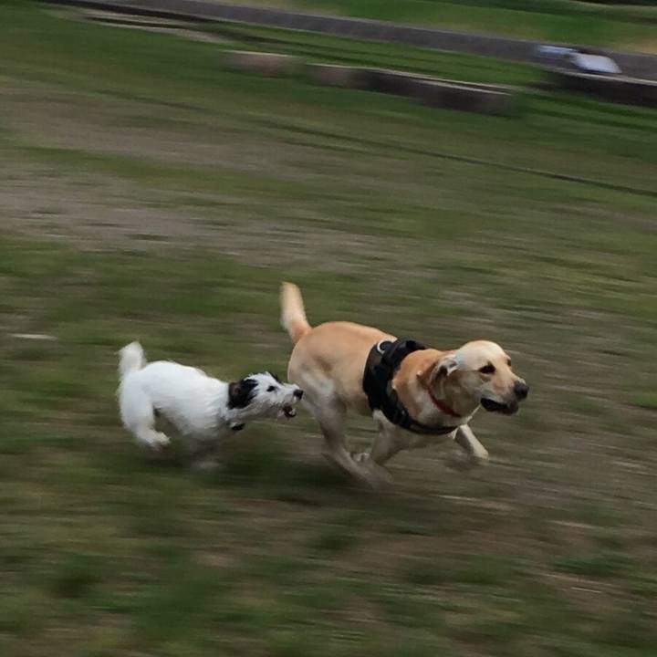 Cbfe1a82 f9a2 409c 9857 b9f3368ecffc